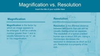 2.1.4: Magnification and Resolution .